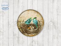 Motiv-Cabochons 49221-1 Einzelset  